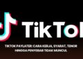 TikTok PayLater: Cara Kerja, Syarat, Tenor hingga Penyebab Tidak Muncul