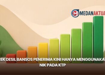 Cek Desil Bansos Penerima Kini Hanya Menggunakan NIK pada KTP