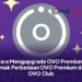 Cara Mengupgrade OVO Premium, Simak Perbedaan OVO Premium dan OVO Club