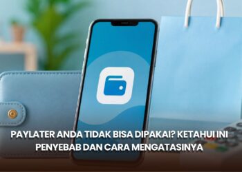 PayLater Anda Tidak Bisa Dipakai? Ketahui Ini Penyebab dan Cara Mengatasinya