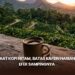 Manfaat Kopi Hitam, Batas Kafein Harian, dan Efek Sampingnya