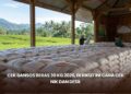 Cek Bansos Beras 30 Kg 2026, Berikut Ini Cara Cek NIK dan Desil
