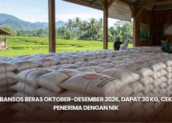 Bansos Beras Oktober-Desember 2026, Dapat 30 Kg, Cek Penerima dengan NIK
