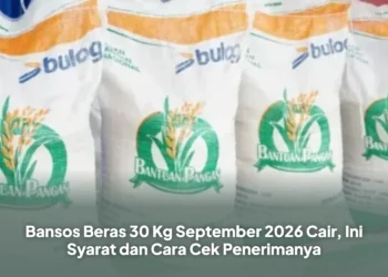Bansos Beras 30 Kg September 2026 Cair, Ini Syarat dan Cara Cek Penerimanya