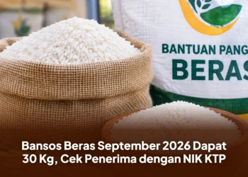 Bansos Beras September 2026 Dapat 30 Kg, Cek Penerima dengan NIK KTP