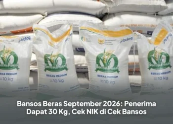 Bansos Beras September 2026: Penerima Dapat 30 Kg, Cek NIK di Cek Bansos