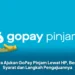 Cara Ajukan GoPay Pinjam Lewat HP, Begini Syarat dan Langkah Pengajuannya
