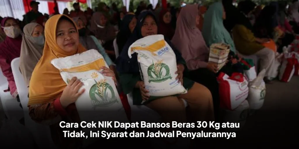 Cara Cek NIK Dapat Bansos Beras 30 Kg atau Tidak, Ini Syarat dan Jadwal Penyalurannya
