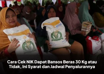 Cara Cek NIK Dapat Bansos Beras 30 Kg atau Tidak, Ini Syarat dan Jadwal Penyalurannya