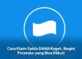 Cara Klaim Saldo DANA Kaget, Begini Prosedur yang Bisa Diikuti