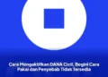 Cara Mengaktifkan DANA Cicil, Begini Cara Pakai dan Penyebab Tidak Tersedia