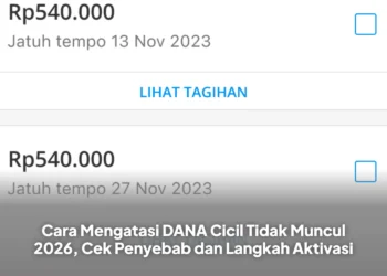 Cara Mengatasi DANA Cicil Tidak Muncul 2026, Cek Penyebab dan Langkah Aktivasi