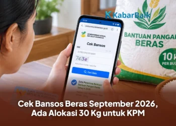 Cek Bansos Beras September 2026, Ada Alokasi 30 Kg untuk KPM