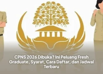 CPNS 2026 Dibuka? Ini Peluang Fresh Graduate, Syarat, Cara Daftar, dan Jadwal Terbaru