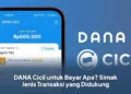 DANA Cicil untuk Bayar Apa? Simak Jenis Transaksi yang Didukung