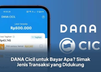 DANA Cicil untuk Bayar Apa? Simak Jenis Transaksi yang Didukung