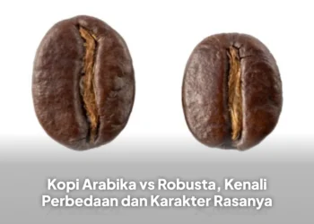 Kopi Arabika vs Robusta, Kenali Perbedaan dan Karakter Rasanya