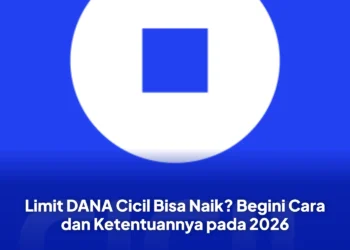 Limit DANA Cicil Bisa Naik? Begini Cara dan Ketentuannya pada 2026