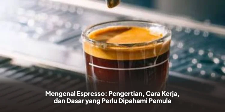 Mengenal Espresso: Pengertian, Cara Kerja, dan Dasar yang Perlu Dipahami Pemula