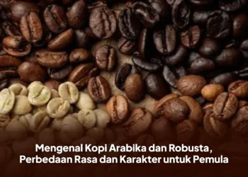 Mengenal Kopi Arabika dan Robusta, Perbedaan Rasa dan Karakter untuk Pemula