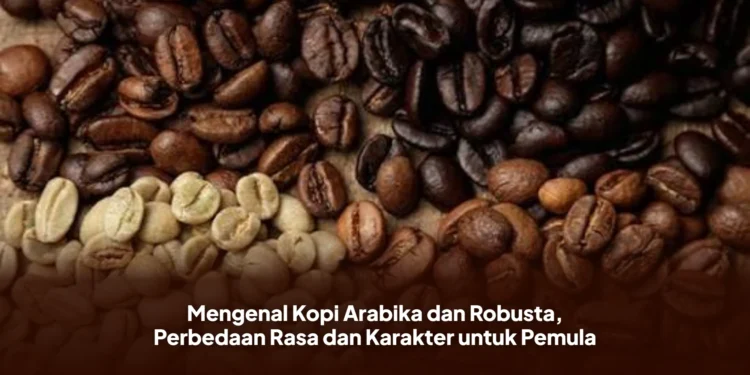 Mengenal Kopi Arabika dan Robusta, Perbedaan Rasa dan Karakter untuk Pemula
