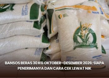 Bansos Beras 30 Kg Oktober–Desember 2026: Siapa Penerimanya dan Cara Cek lewat NIK