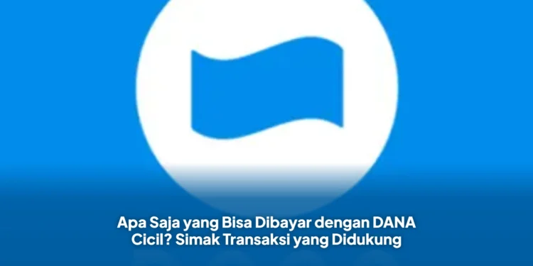 Apa Saja yang Bisa Dibayar dengan DANA Cicil? Simak Transaksi yang Didukung