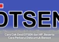 Cara Cek Desil DTSEN dari HP, Beserta Cara Perbarui Data untuk Bansos