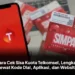 Cara Cek Sisa Kuota Telkomsel, Lengkap Lewat Kode Dial, Aplikasi, dan Website