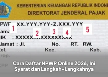 Cara Daftar NPWP Online 2026, Ini Syarat dan Langkah-Langkahnya