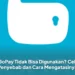 GoPay Tidak Bisa Digunakan? Cek Penyebab dan Cara Mengatasinya