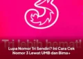 Lupa Nomor Tri Sendiri? Ini Cara Cek Nomor 3 Lewat UMB dan Bima+